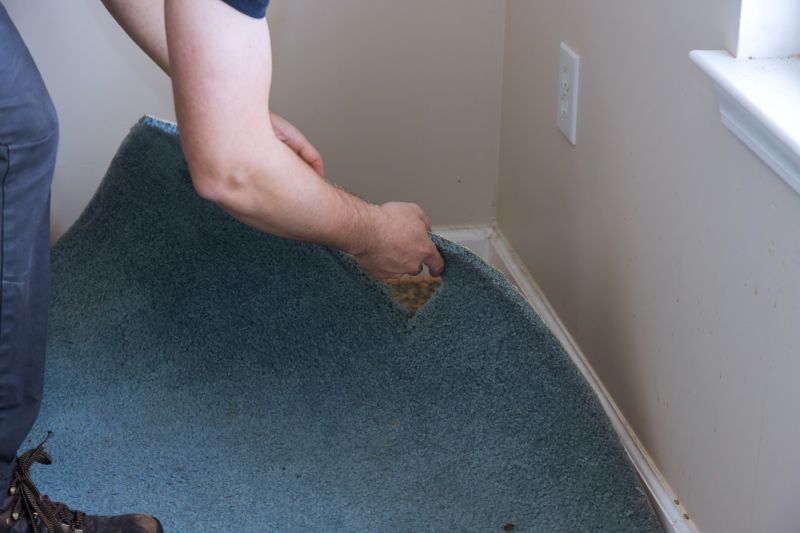 Basement Carpet Stretching in Roswell, GA