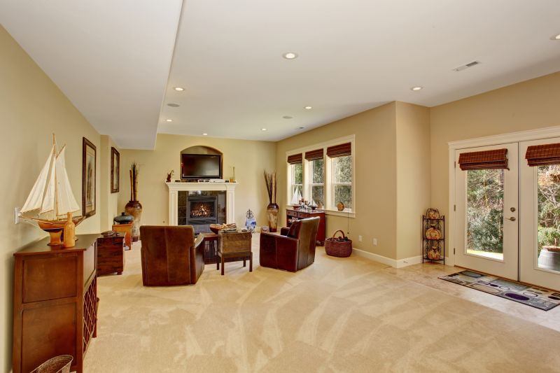 Carpet Burn Repair in Overland Park, KS
