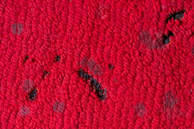 Carpet Repair Service in Olathe, KS