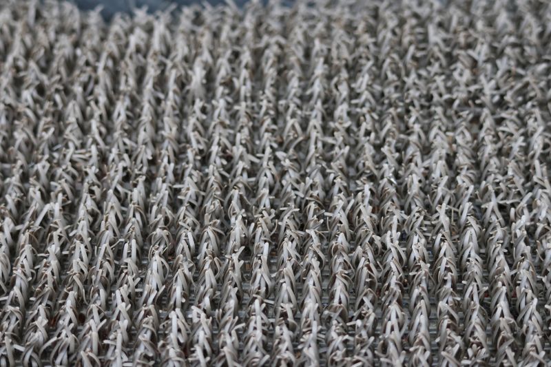 Carpet Restretching in Alpharetta, GA