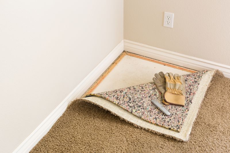 Carpet Tucking in Alpharetta, GA