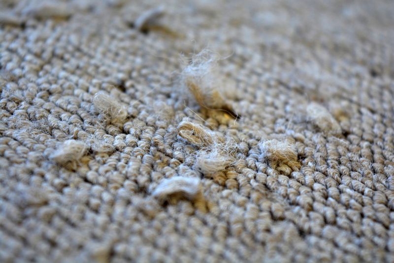 Commercial Carpet Repair