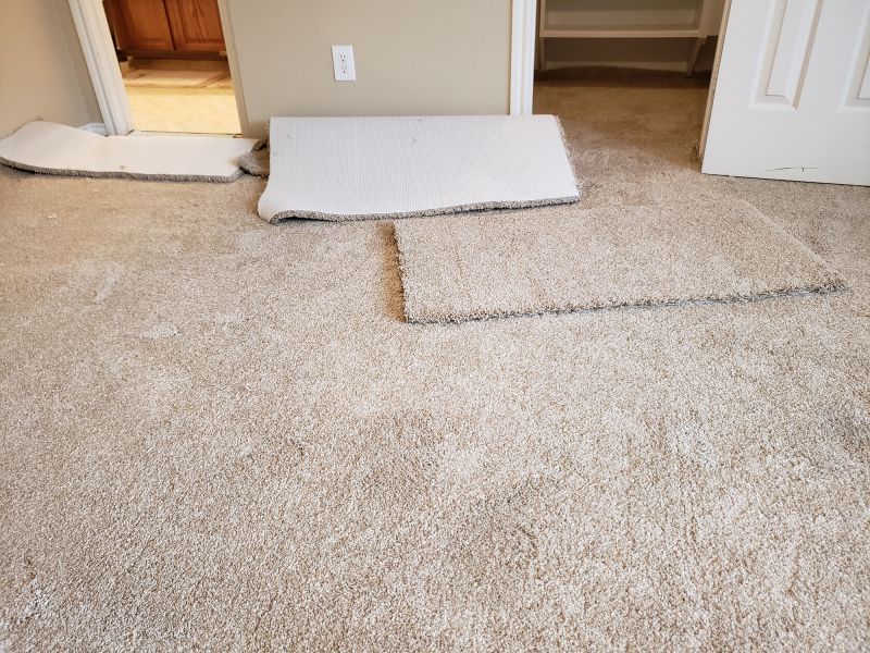 Pet Stain Carpet Repair in Littleton, CO